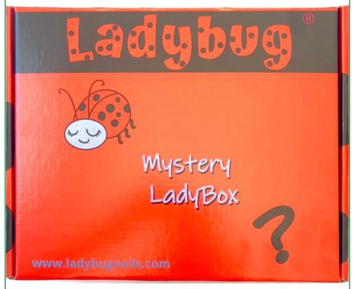 Ladybug nails Mystery box