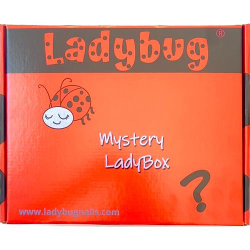 Ladybug Mystery Box